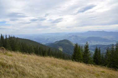 Bereketli dağ vadileri, yemyeşil ormanlar ve bulutlu bir gökyüzünün altında sakin bir atmosferle çevrili uzak tepelerin güzel panoramik manzarası. Karpat Dağları, Ukrayna