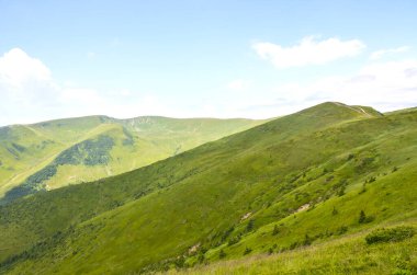 Berrak mavi gökyüzünün altında yuvarlanan yeşil dağların büyüleyici görüntüsü sükunet ve doğal güzelliği çağrıştırıyor. Bozulmamış vahşi doğanın ve huzurlu manzaraların ideal tasviri. Svydovets, Karpatlar