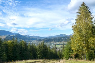 Orman dağlarıyla çevrili, berrak bir gökyüzünün altında doğal güzellik ve sükuneti gösteren manzaralı bir vadi. Karpat Dağları, Ukrayna