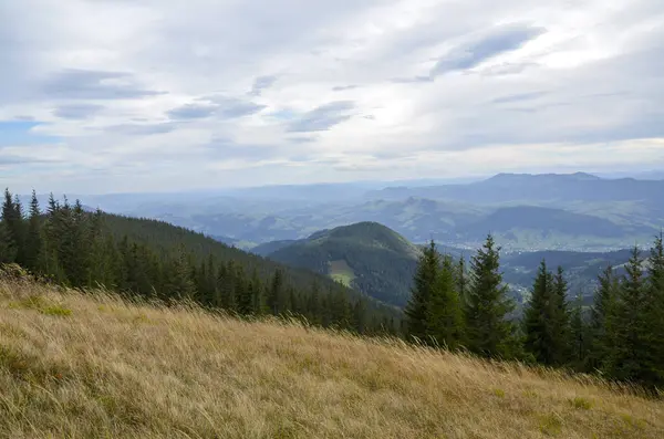 Bereketli dağ vadileri, yemyeşil ormanlar ve bulutlu bir gökyüzünün altında sakin bir atmosferle çevrili uzak tepelerin güzel panoramik manzarası. Karpat Dağları, Ukrayna