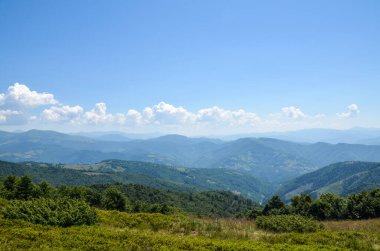 Parlak mavi ve bulutlu bir gökyüzü altında yuvarlanan orman tepelerinin yer aldığı güneşli dağ manzarası doğal güzellik ve sakinliği simgeliyor. Karpat Dağları, Ukrayna