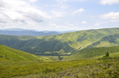 Bereketli yeşil tepeler, berrak mavi bir gökyüzünün altında huzur ve doğal güzelliği çağrıştırıyor. Karpat Dağları, Ukrayna