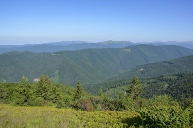 Geniş yeşil ormanlara ve mavi gökyüzünün altındaki yuvarlanan tepelere güzel bir manzara. Sakinleştirici ve ferahlatıcı doğa manzarası rahatlama temaları ya da çevresel kavramlar için idealdir. Karpatlar, Ukrayna