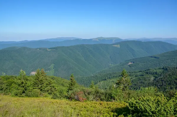 Geniş yeşil ormanlara ve mavi gökyüzünün altındaki yuvarlanan tepelere güzel bir manzara. Sakinleştirici ve ferahlatıcı doğa manzarası rahatlama temaları ya da çevresel kavramlar için idealdir. Karpatlar, Ukrayna