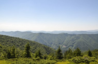 Parlak mavi gökyüzünün altındaki yuvarlanan tepeleri kaplayan uçsuz bucaksız yeşil ormanlar. Huzurlu yaz manzarası doğal güzellikleri sükunet ve ihtişam atmosferiyle sergiliyor. Karpatlar, Ukrayna