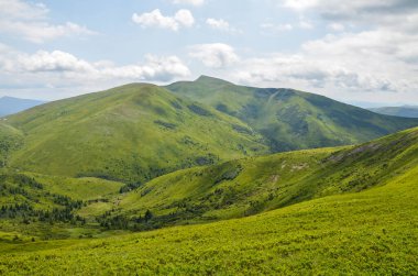 Geniş yeşil dağ manzaraları, sakin, parçalı bulutlu gökyüzü altında yumuşak tepeler ve vadiler, doğanın sükunetini, güzelliğini ve vahşi doğasını tasvir etmek için mükemmel. Karpat Dağları, Ukrayna