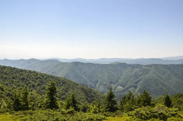 Parlak mavi gökyüzünün altındaki yuvarlanan tepeleri kaplayan uçsuz bucaksız yeşil ormanlar. Huzurlu yaz manzarası doğal güzellikleri sükunet ve ihtişam atmosferiyle sergiliyor. Karpatlar, Ukrayna