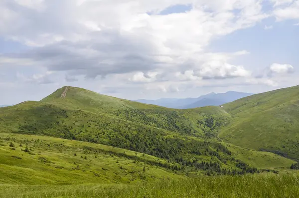 Geniş yeşil dağ manzaraları, sakin, parçalı bulutlu gökyüzü altında yumuşak tepeler ve vadiler, doğanın sükunetini, güzelliğini ve vahşi doğasını tasvir etmek için mükemmel. Karpat Dağları, Ukrayna