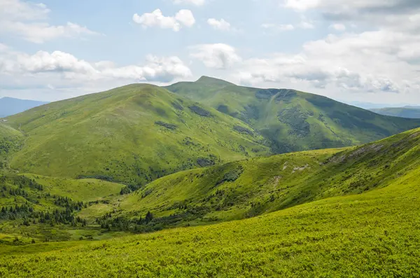 Geniş yeşil dağ manzaraları, sakin, parçalı bulutlu gökyüzü altında yumuşak tepeler ve vadiler, doğanın sükunetini, güzelliğini ve vahşi doğasını tasvir etmek için mükemmel. Karpat Dağları, Ukrayna