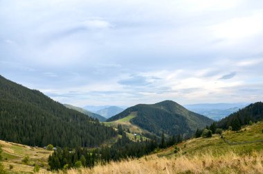 Çimenli tepeler, sık ormanlar ve açık ve bulutlu bir gökyüzü altında uzak dağların yer aldığı resimli panoramik manzara, sakin ve doğayla bağlantıyı çağrıştırıyor. Karpat Dağları, Ukrayna