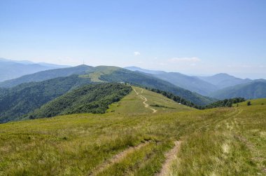 Bereketli bitki örtüsü ve açık mavi gökyüzünün altındaki uzak dağ manzarasıyla çevrili dolambaçlı yolu olan yeşil tepelerin huzurlu manzarası. Karpat Dağları, Ukrayna