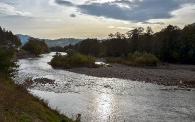 Etrafı yemyeşil yemyeşil yemyeşil dağlarla çevrili sakin bir Cheremosh nehrinin bulunduğu sakin sonbahar manzarası, doğa temaları ve sakin sahneler için mükemmel. Karpatlar. Ukrayna