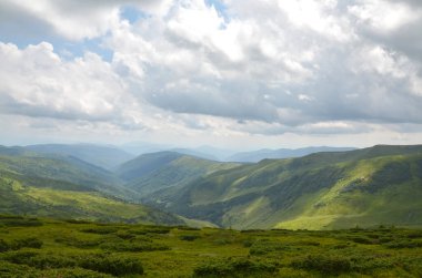 Parça parça bulutlu bir gökyüzünün altında ufuk boyunca yayılmış çalı ve otlakların karışımından oluşan tepeler, dinginliği ve doğal güzelliği somutlaştırıyor. Svydovets, Karpatlar, Ukrayna