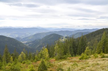 Canlı yeşil ormanlar, yuvarlanan tepeler ve bulutlu ama sakin bir gökyüzünün altındaki uzak dağlarla kaplı güzel bir vadi. Karpatlar, Ukrayna