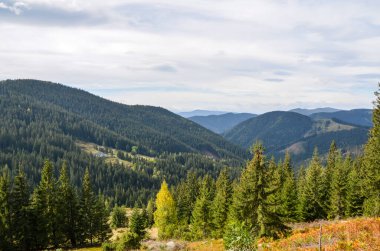 Canlı yeşil ormanlar, yuvarlanan tepeler ve bulutlu ama sakin bir gökyüzünün altındaki uzak dağlarla kaplı güzel bir vadi. Karpatlar, Ukrayna