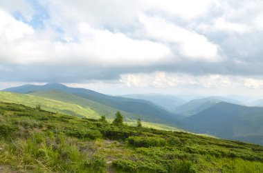 Bereketli yeşil yamaçları ve yumuşak bulutları olan dağlık vadinin huzurlu manzarası. Sahne sükuneti yayıyor ve dokunulmamış manzaraların doğal güzelliğini gözler önüne seriyor. Karpatlar, Ukrayna
