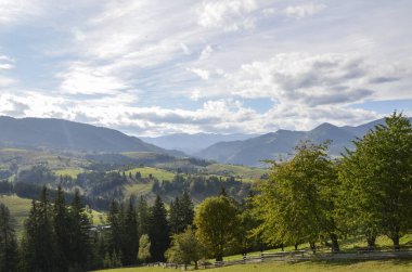 Yoğun çam ağaçları ve bulutlu bir gökyüzünün altında görkemli dağlarla çevrili yemyeşil bir vadi. Kırsalda çekilen sakin ve resimli bir doğal manzara. Karpat Dağları, Ukrayna
