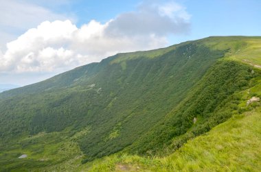 Berrak bir gökyüzünün altında, bulutlarla hafifçe süslenmiş, doğal bir manzaranın huzur ve güzelliğini yakalayan yemyeşil bir yamaç. Karpat Dağları, Ukrayna
