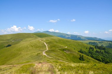 Parlak mavi gökyüzü altında görünen yürüyüş yolu ile yemyeşil tepeler uzak ormanlık yamaçlar ve dağınık beyaz bulutlar ile çevrili sakin ve resimli açık hava manzarası sunuyor. Karpatlar