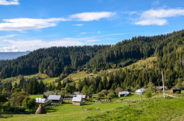 Büyüleyici kırsal köy, yemyeşil çayırlarda ormanlık tepeler ve uzak dağlarla örülü. Resim, huzurlu, resimli kırsal yaşamı ve doğal güzelliği tasvir ediyor. Karpatlar, Ukrayna