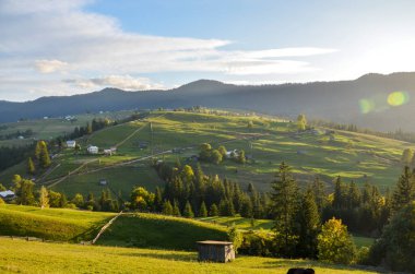 Yeşil yuvarlanan tepelerin, dağınık evlerin, canlı ağaçların ve yumuşak günbatımının bulunduğu güzel kırsal manzara sakin, huzurlu bir atmosfer yaratıyor. Karpat Dağları, Ukrayna