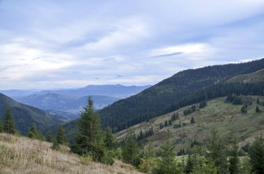 Huzurlu dağ manzarası yemyeşil ormanları, yuvarlanan tepeleri ve sakin bir atmosferi gösteriyor. Dokunulmamış bir ortamda doğal güzelliğin ve huzurun mükemmel bir temsili. Karpat Dağları