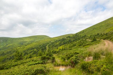 Idyllic manzara canlı yeşil tepeler yemyeşil çimler ve sakin mavi gökyüzü altında uzak dağlar. Doğa seyahati ve sükuneti ve manzaralı güzelliği vurgulayan açık hava kavramları için mükemmel. Karpat Dağları