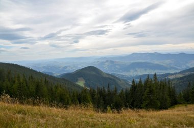 Huzurlu dağ manzarası yemyeşil ormanları, yuvarlanan tepeleri ve sakin bir atmosferi gösteriyor. Dokunulmamış bir ortamda doğal güzelliğin ve huzurun mükemmel bir temsili. Karpat Dağları