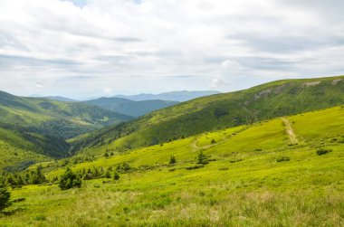 Idyllic manzara canlı yeşil tepeler yemyeşil çimler ve sakin mavi gökyüzü altında uzak dağlar. Doğa seyahati ve sükuneti ve manzaralı güzelliği vurgulayan açık hava kavramları için mükemmel. Karpat Dağları