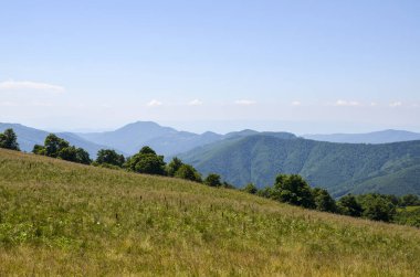 Parlak, berrak bir gökyüzünün altında güneş ışığıyla yuvarlanan yeşil tepelerin olduğu sakin bir dağ manzarası. Doğal ortamda huzurun ve uyumun mükemmel bir temsili. Karpat Dağları, Ukrayna