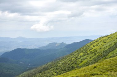 Dramatik ve bulutlu bir gökyüzünün altındaki dağ vadisi manzarası. Ön plan çimenli bir çayırdır, uzak dağlar ise mavi ve yeşil tonlarla kaplıdır. Karpatlar, Ukrayna