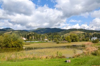Yeşil çimenler ve ağaçlarla çevrili sakin bir gölet. Arka planda birkaç küçük ev var. Yuvarlanan, ormanlık tepeler ve parçalı bulutlu mavi gökyüzü manzarayı tamamlıyor. Verkhovyna, Karpatlar