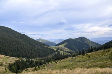 Bereketli yeşil tepeleri, ormanlarla kaplı dağları ve bulutlu bir gökyüzünün altında çimenli çayırları olan bir vadi. Vadide birkaç küçük ev var. Karpatlar, Ukrayna