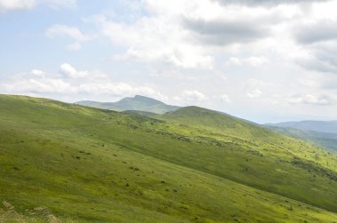 Expansive landscape of lush green hills and a dramatic cloudy sky, evoking tranquility and peace in the heart of nature. Svydovers, Carpathian Mountains, Ukraine