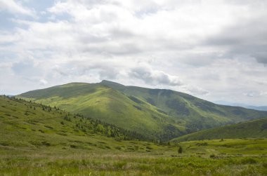 Expansive landscape of lush green hills and a dramatic cloudy sky, evoking tranquility and peace in the heart of nature. Svydovers, Carpathian Mountains, Ukraine