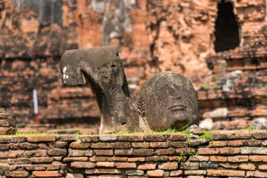 Ayutthaya, Tayland - 17 Eylül 2022: Wat Mahathat, Ayutthaya, Tayland 'da kırılan Buda heykelleri