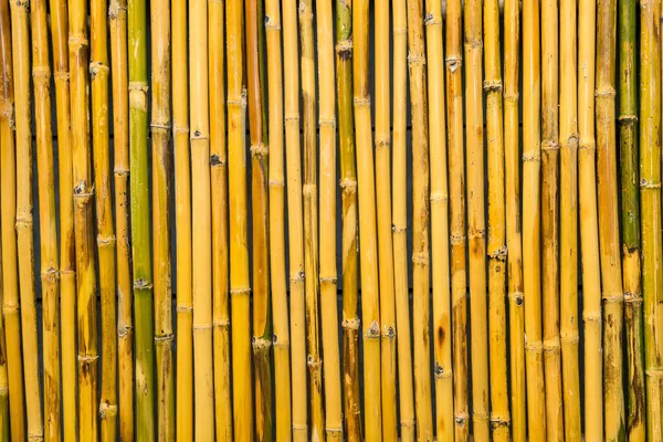 Бамбуковий Паркан Фон Текстура — стокове фото