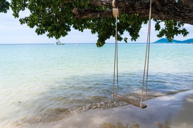 Sahildeki ağaçta sallan..