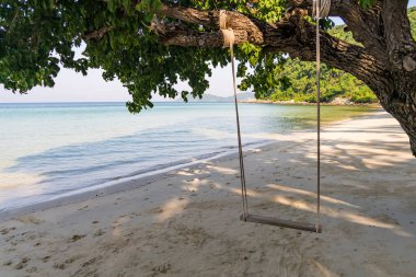 Sahildeki ağaçta sallan..