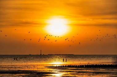 Beautiful sunset on the ocean coast.Thailand.