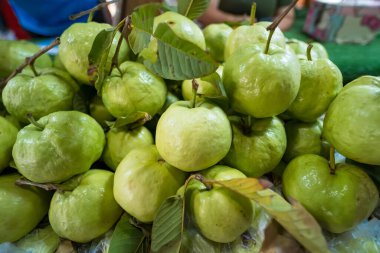 Taze pazarda organik yeşil Guava meyvesi.