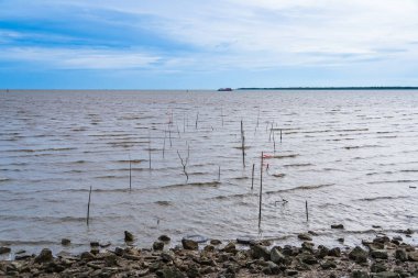 Kıyı Senfonisi: Dalgalar Sandy Plajını Sardıkça Büyüleyici Akşam Deniz Pelerini