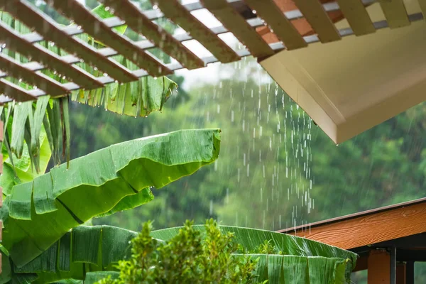 Esik Eső Tetőről Esős Időben Úgy Érzi Pihentető Kényelem Thaiföld Stock Fotó