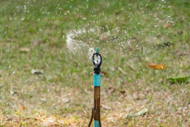 Parkta otomatik çim yağmurlama.
