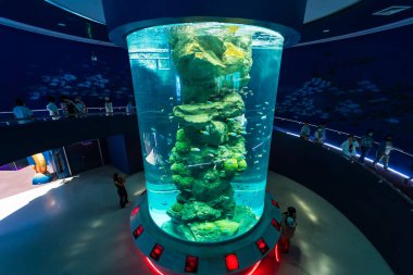 CHONBURI, THAILAND - 15 Ekim 2023: Fotoğraf: Akvaryumun içi Bir Su altı cam tünel CHONBURI, THAILAND.