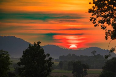 Parlak kırmızı güneş ve önünde ağaçlardan oluşan siluet ve arkasında kırmızı bulutlu gökyüzü ile güzel bir gün batımı.
