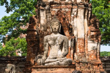 Ayutthaya, Tayland - 17 Eylül 2023: Wat Mahathat, Ayutthaya, Tayland 'da kırılan Buda heykelleri
