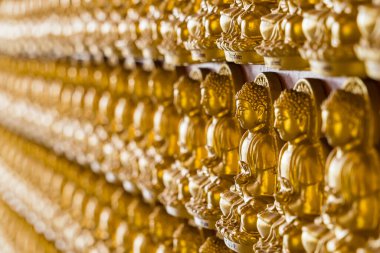 Nonthaburi, Tayland - 18 Mayıs 2024: Nonthaburi, Tayland Perspektif Buddha Duvarı