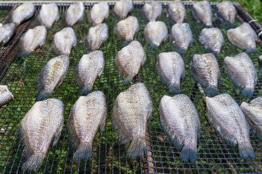 Stack of dried fish on a net clipart