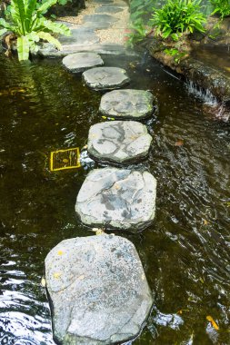 Bahçedeki suda taş geçit. Japon tarzı gölgeli bahçe dekorasyonu fikri.